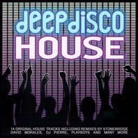 Deep Disco House