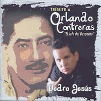 Tributo A Orlando Conteras - El Jefe del Despecho