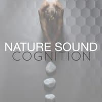 Nature Sound Cognition