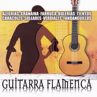 Guitarra Flamenca