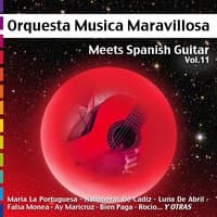 Meets Spanish Guitar, Vol.11