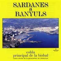 Sardanes a Banyuls