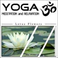 Yoga Meditation and Relaxation: Lotus Flowers