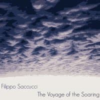 Ambient Music: The Voyage of the Soaring