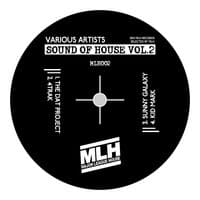 Sound of House, Vol.2