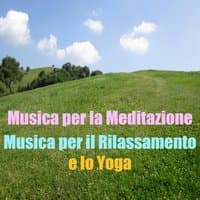 Musica per la meditazione, Vol. 2