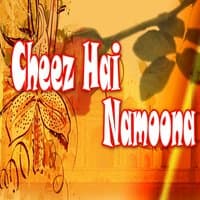 Cheez Hai Namoona