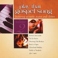 Play That Gospel Song Vol. 2