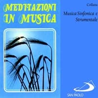 Collana musica sinfonica e strumentale: Meditazioni in musica