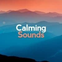 Calming Sounds