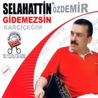 Gidemezsin