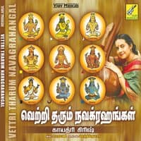 Vettri Tharum Navagrahangal