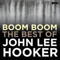 Boom Boom - The Best of John Lee Hooker