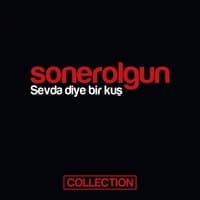 Sevda Diye Bir Kuş Collection