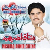 Medi Dukhi Dil, Vol. 01