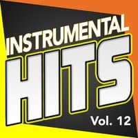 Instrumental Hits, Vol. 12