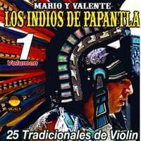 25 Tradicionales de Violin, Vol. 1