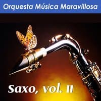 Saxo, Vol. Ii