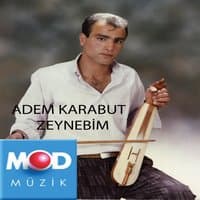 Zeynebim