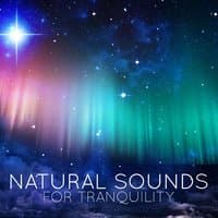 Natural Sounds for Tranquility