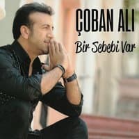 Bir Sebebi Var