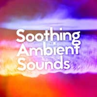 Soothing Ambient Sounds