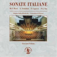 Sonata per organo con coro, Op. 26 sul corale Herzliebster Jesu: Finale: Fugato con Corale - Allegro sostenuto