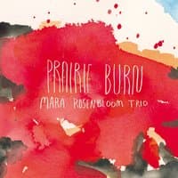 Prairie Burn