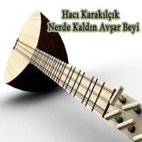 Nerde Kaldın Avşar Beyi