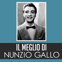 Il Meglio di Nunzio Gallo