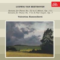 Beethoven:  Piano Sonatas