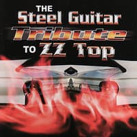 The Steel Guitar Tribute To ZZ Top