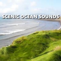 Scenic Ocean Sounds