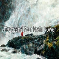 44 Expand Your Brain Power