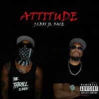 Attitude