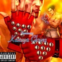 Kazuya Gloves