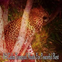 64 Calm Tranquil Music for Peaceful Rest