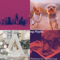 Quiet Easy Listening Guitar - Ambiance for Calming Dogs