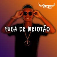 Fuga de Meiotão