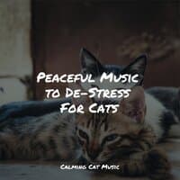 Peaceful Music to De-Stress For Cats