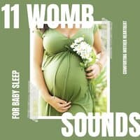 11 Womb Sounds for Baby Sleep: Comforting Mother Heartbeat with Background Music