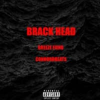 Brack Head