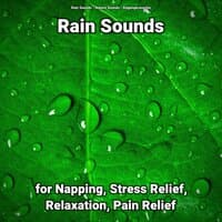 Rain Sounds for Napping, Stress Relief, Relaxation, Pain Relief