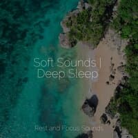 Soft Sounds | Deep Sleep