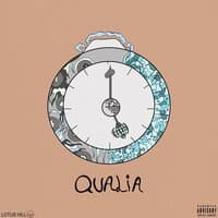 QUALIA