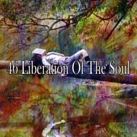 46 Liberation of the Soul