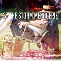 27 The Storm Menagerie