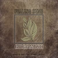 Falling Star