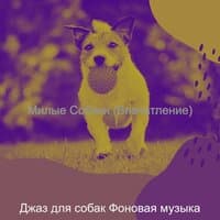 Музыка (Выгул собак)