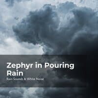 Zephyr in Pouring Rain